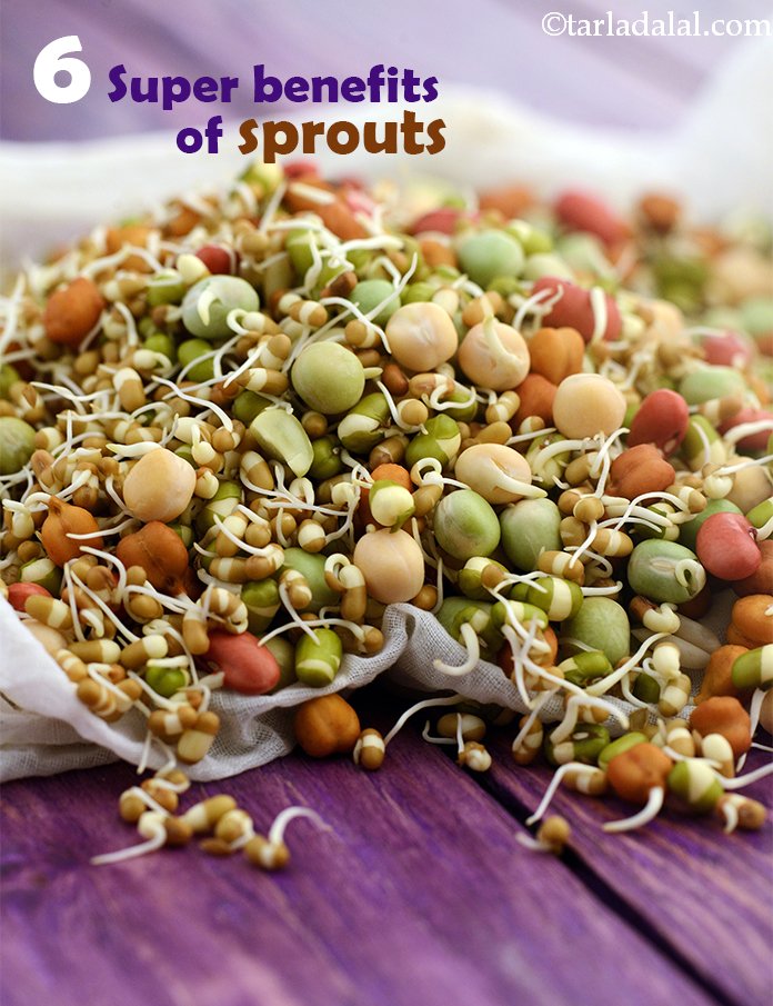 Medium Sprouts
